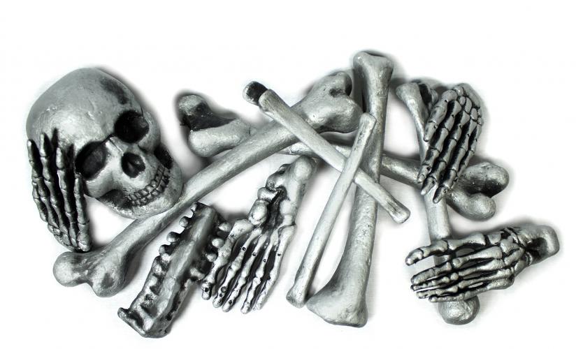 Серебряные кости скелета 12 шт - купить 