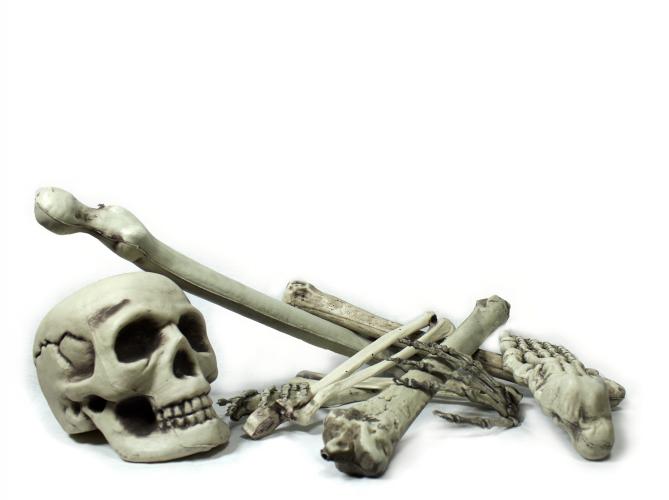 Кости скелета (9 шт) - купить 
