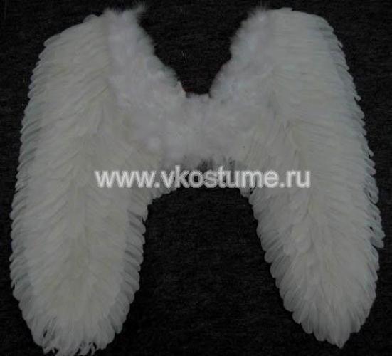 Крылья белые 80 см - купить 