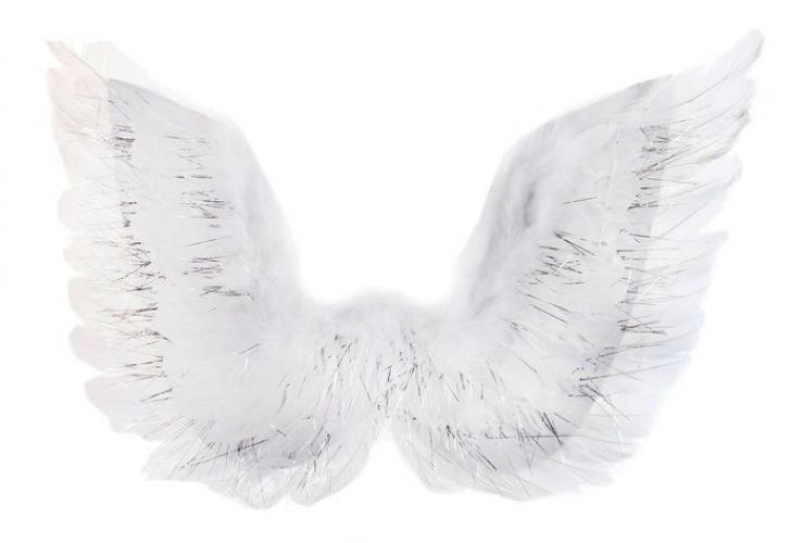 Крылья ангелочка с мишурой - купить 