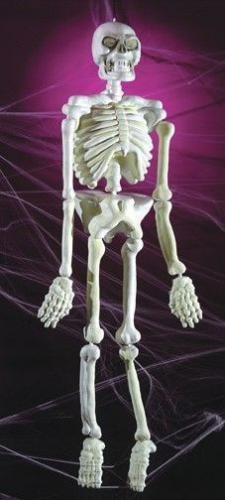 Светящийся в темноте скелет 150 см - купить 