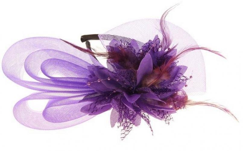 Разборный фиолетовый ободок Эхинацея - купить 