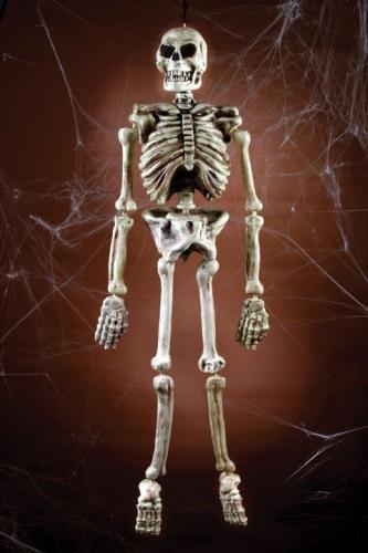 Подвесной реалистичный скелетон 150 см - купить 