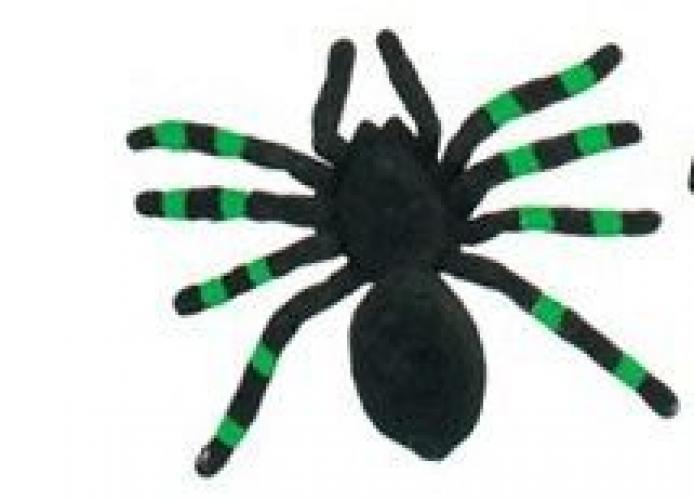 Бархатный тарантул черно-зеленый - купить 