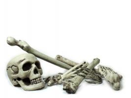 Кости скелета 9 шт