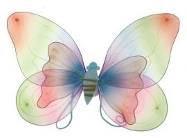 Двойные радужные крылья бабочки
