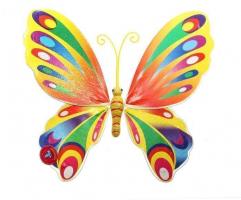 Радужные крылья полет бабочки