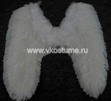Крылья белые 80 см
