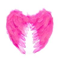 Крылья ангела розовые