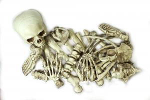 Кости скелета Dlx 28 шт.