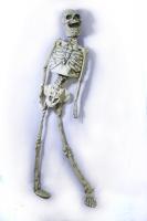 Подвесной веселый скелет