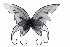 Черные крылья Бабочки