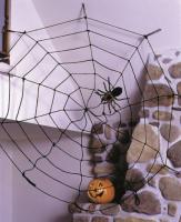 Паутина с пауком