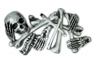 Серебряные кости скелета 12 шт