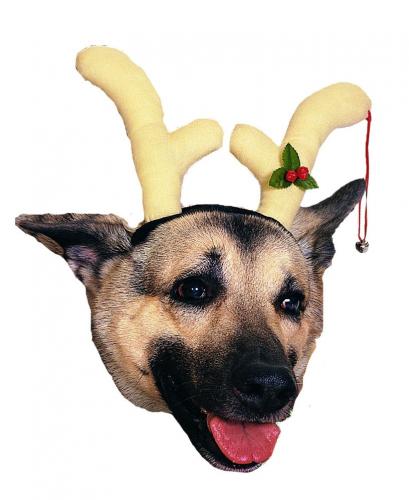 Головной убор для собаки - купить 